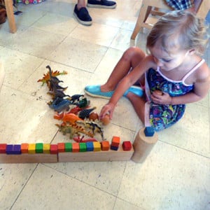 curriculum2-300x300 Child Development